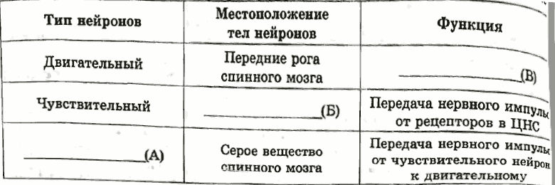 Таблица