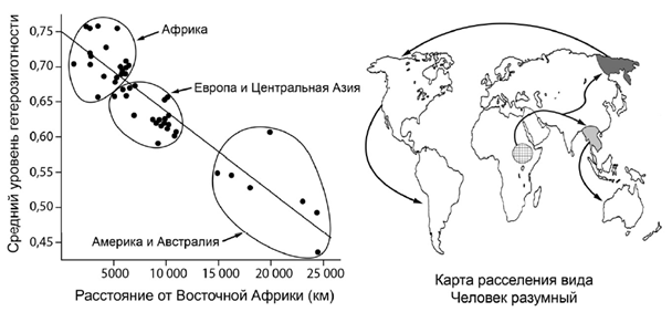 Березовая пяденица
