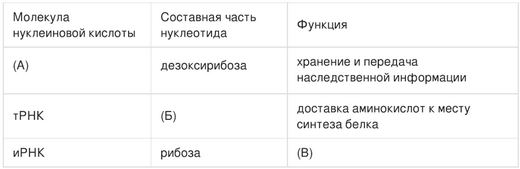 Что синтезируется в ядрышке. Смотреть фото Что синтезируется в ядрышке. Смотреть картинку Что синтезируется в ядрышке. Картинка про Что синтезируется в ядрышке. Фото Что синтезируется в ядрышке