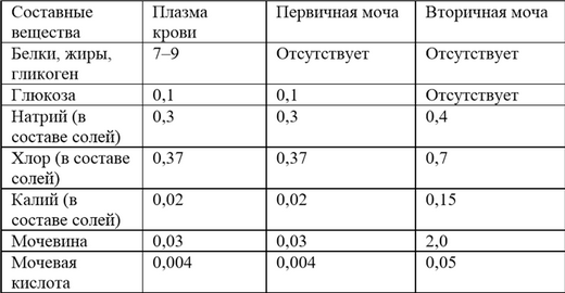 Вторичная моча таблица. Таблица плазма крови первичная моча и вторичная. Состав первичной мочи и плазмы крови. Таблица характеристики первичная моча вторичная моча. Состав плазмы крови первичной и вторичной мочи