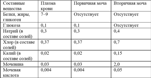 Первичная моча отличается от плазмы крови отсутствием. Таблица плазма крови первичная моча и вторичная. Таблица характеристики первичная моча вторичная моча. Состав плазмы крови первичной и вторичной мочи. Первичная и вторичная моча таблица сравнение.