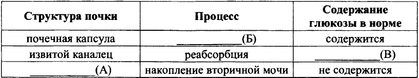 какой орган выделительной системы выполняет функцию фильтрации. Смотреть фото какой орган выделительной системы выполняет функцию фильтрации. Смотреть картинку какой орган выделительной системы выполняет функцию фильтрации. Картинка про какой орган выделительной системы выполняет функцию фильтрации. Фото какой орган выделительной системы выполняет функцию фильтрации