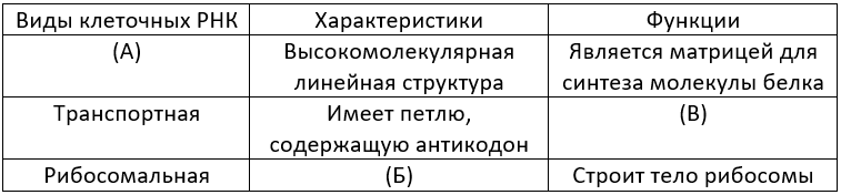 Что синтезируется в ядрышке. Смотреть фото Что синтезируется в ядрышке. Смотреть картинку Что синтезируется в ядрышке. Картинка про Что синтезируется в ядрышке. Фото Что синтезируется в ядрышке