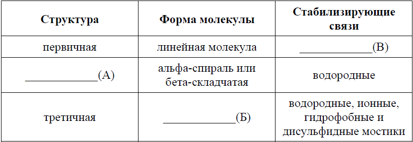 Что изображено на рисунке молекула белка в первичной структуре. Смотреть фото Что изображено на рисунке молекула белка в первичной структуре. Смотреть картинку Что изображено на рисунке молекула белка в первичной структуре. Картинка про Что изображено на рисунке молекула белка в первичной структуре. Фото Что изображено на рисунке молекула белка в первичной структуре
