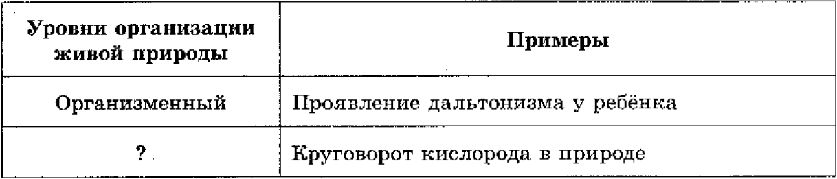 Основные уровни организации деятельности