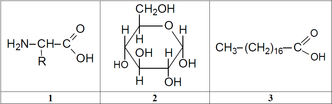 ������������ ������