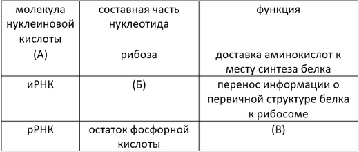 Что синтезируется в ядрышке. Смотреть фото Что синтезируется в ядрышке. Смотреть картинку Что синтезируется в ядрышке. Картинка про Что синтезируется в ядрышке. Фото Что синтезируется в ядрышке