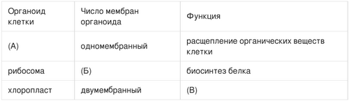 Таблица