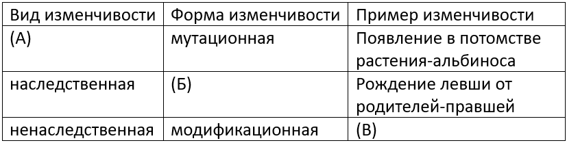 Таблица