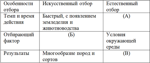 Таблица