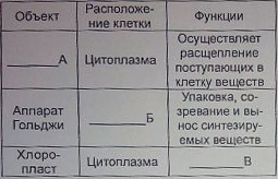 Таблица