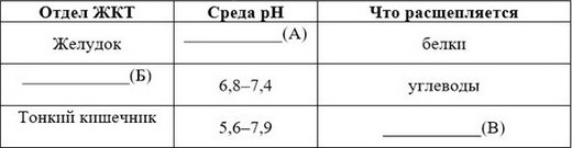 Обработка пищи желчью и соком поджелудочной железы происходит в Обработка пищи желчью и соком поджелудочной железы происходит в thumbnail