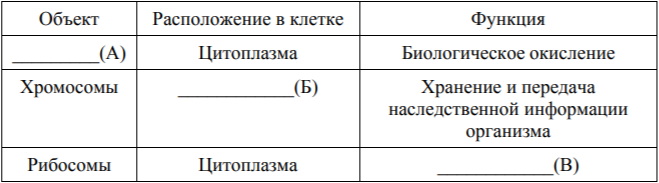 Таблица