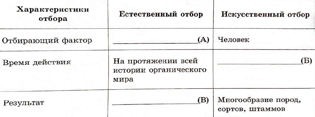 Таблица