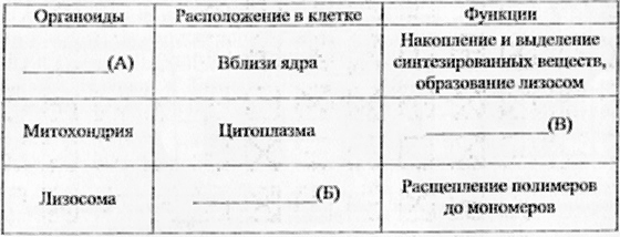 Таблица