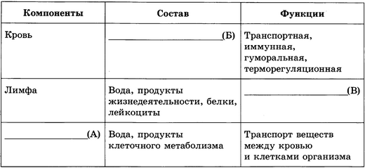 Лимфатические сосуды несут лимфу в вены малого круга