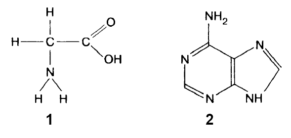 Аминокислота и нуклеотид