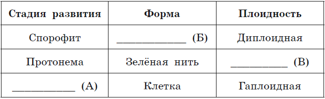 Преобладание гаметофита над спорофитом наблюдается в цикле развития у