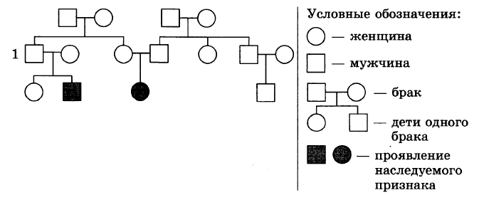 Родословная