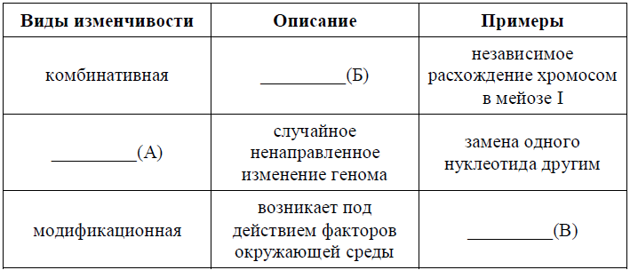 Таблица