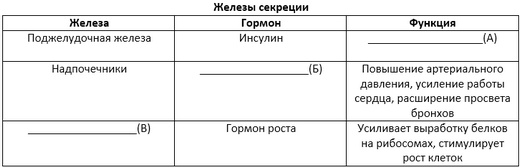 Поджелудочная железа выделяет адреналин тироксин гормон роста Поджелудочная железа выделяет адреналин тироксин гормон роста thumbnail