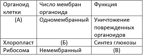 Таблица