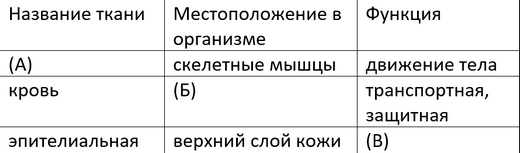 Какая группа тканей обладает свойствами возбудимости и проводимости Какая группа тканей обладает свойствами возбудимости и проводимости thumbnail