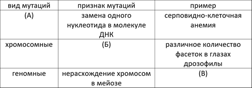 Таблица